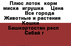 Плюс лоток, корм, миска, игрушка. › Цена ­ 50 - Все города Животные и растения » Кошки   . Башкортостан респ.,Сибай г.